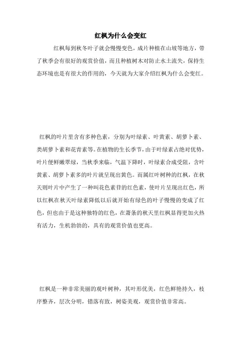 红枫为什么会变红.doc