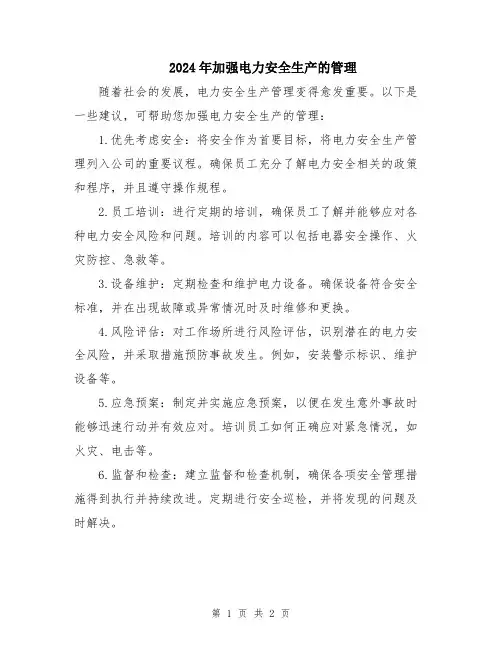 2024年加强电力安全生产的管理