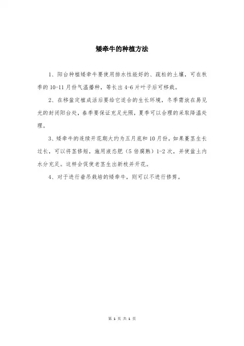 矮牵牛的种植方法