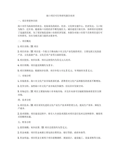 海口项目可行性研究报告培训