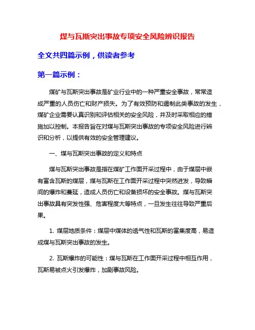 煤与瓦斯突出事故专项安全风险辨识报告