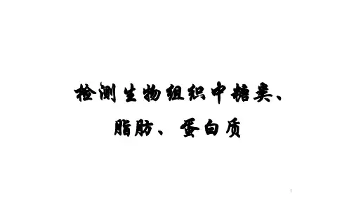 2-1检测生物组织中的糖类、脂肪、和蛋白质(课件)高一上学期生物人教版必修一
