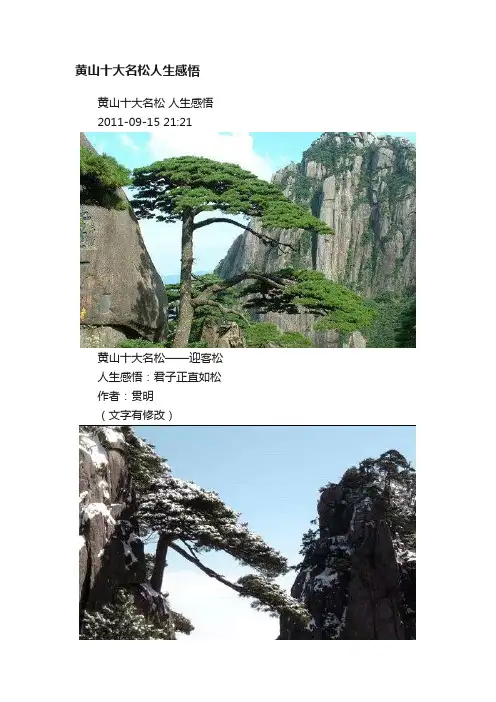 黄山十大名松人生感悟