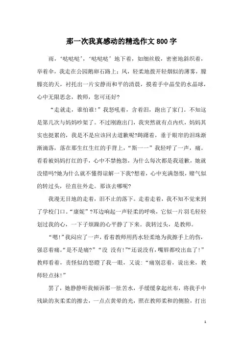 那一次我真感动的精选作文800字