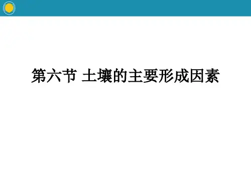 中图版高中地理必修一 (土壤的主要形成因素)自然地理要素及现象教学课件