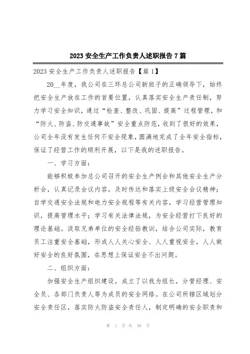 2023安全生产工作负责人述职报告7篇