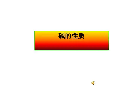 碱的性质PPT课件