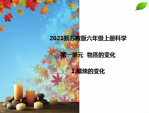 2021新苏教版六年级上册科学1蜡烛的变化 课件