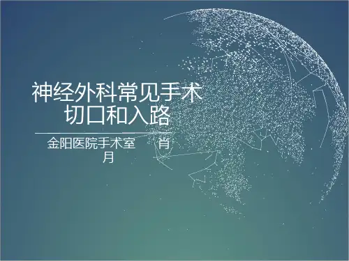 神经外科常见手术入路