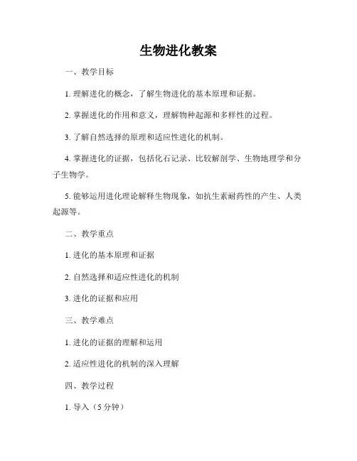 生物进化教案