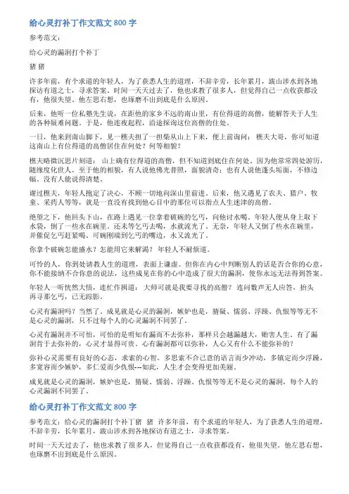 给心灵打补丁作文范文