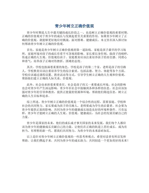 青少年树立正确价值观议论文