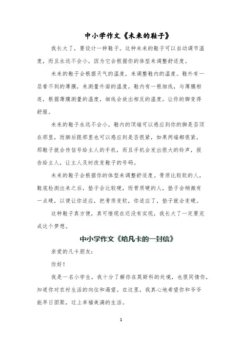中小学作文《未来的鞋子》