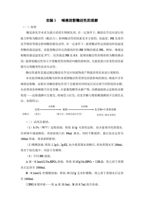 实验1 : 唾液淀粉酶活性的观察