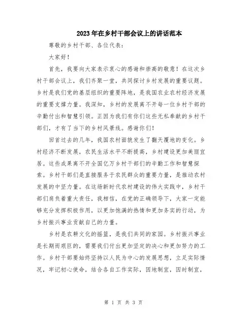 2023年在乡村干部会议上的讲话范本