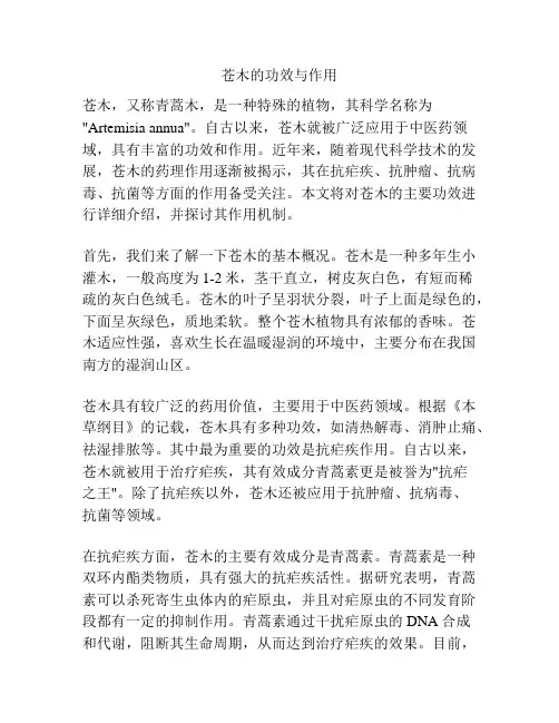 苍木的功效与作用