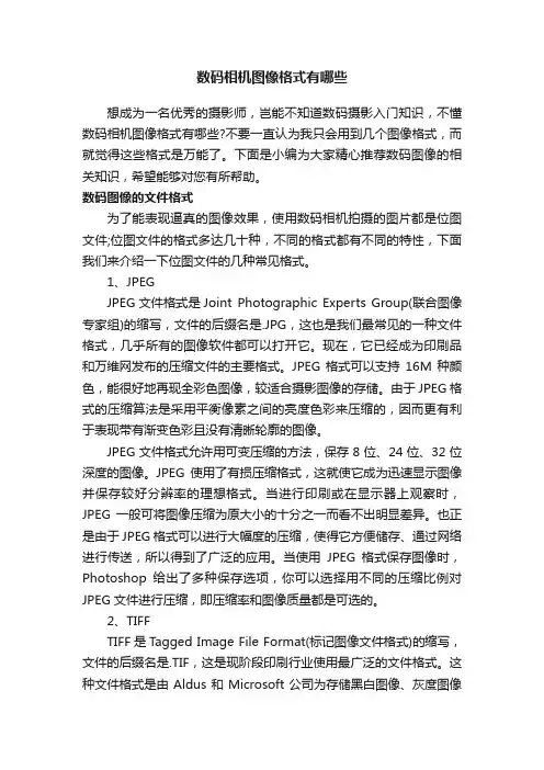 数码相机图像格式有哪些
