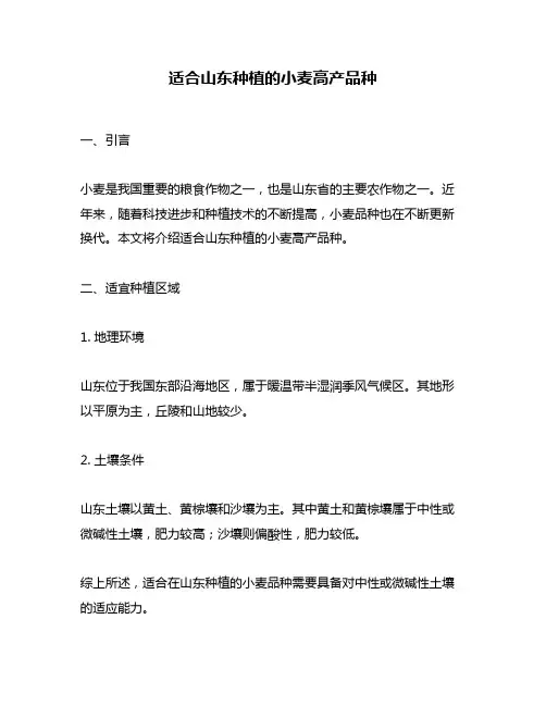 适合山东种植的小麦高产品种