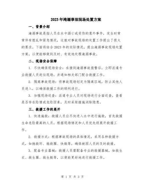 2023年淹溺事故现场处置方案