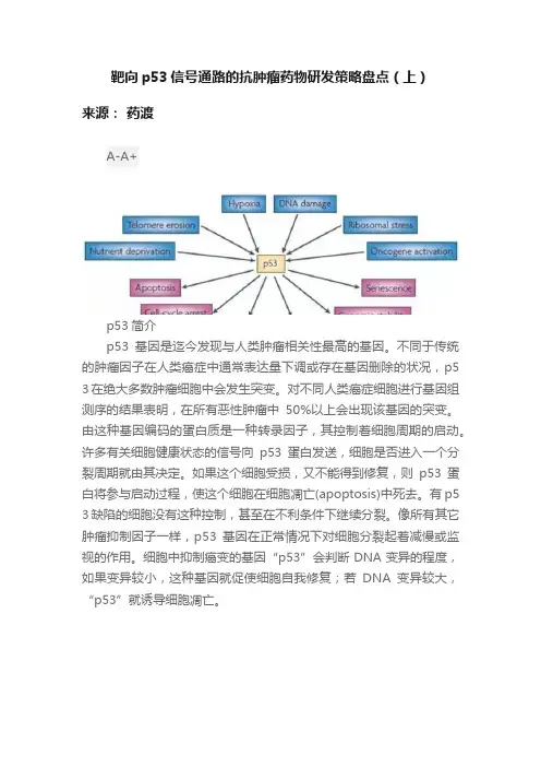 靶向p53信号通路的抗肿瘤药物研发策略盘点（上）