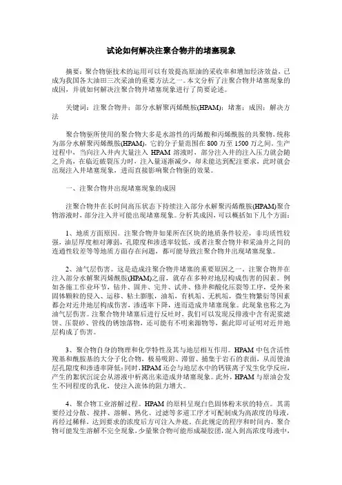 试论如何解决注聚合物井的堵塞现象