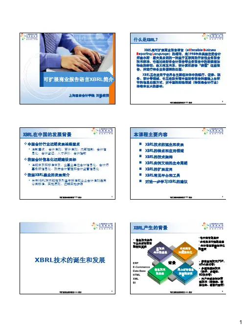 可扩展商业报告语言XBRL简介
