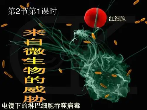 来自微生物的威胁
