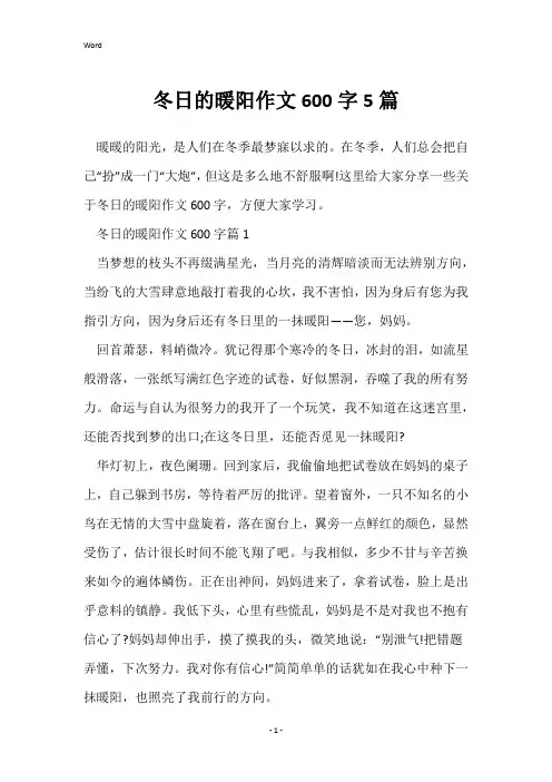 冬日的暖阳作文600字5篇