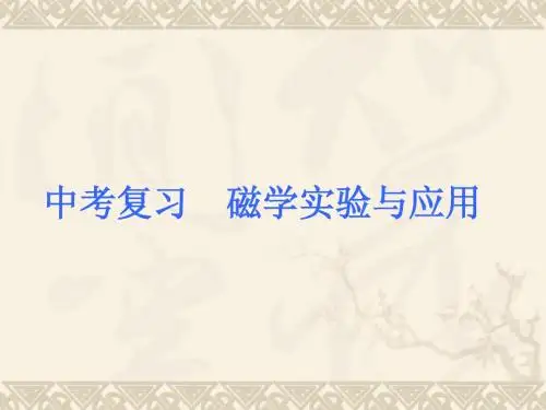 中考复习  磁学实验及应用
