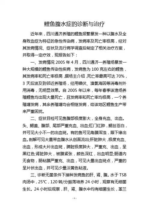 鲤鱼腹水症的诊断与治疗