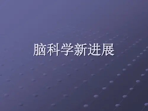 脑科学新进展