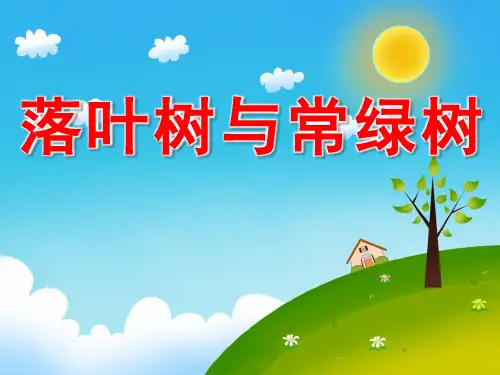大班科学《落叶树与常绿树》课件