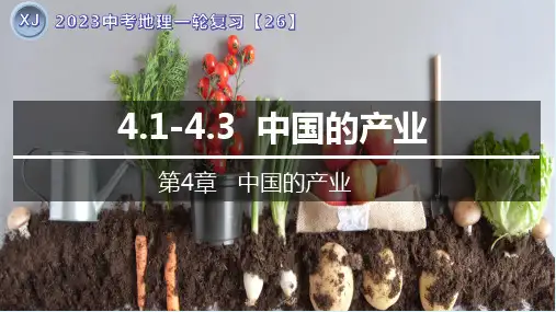 专题26 中国的产业-2023年中考地理一轮复习精讲课件