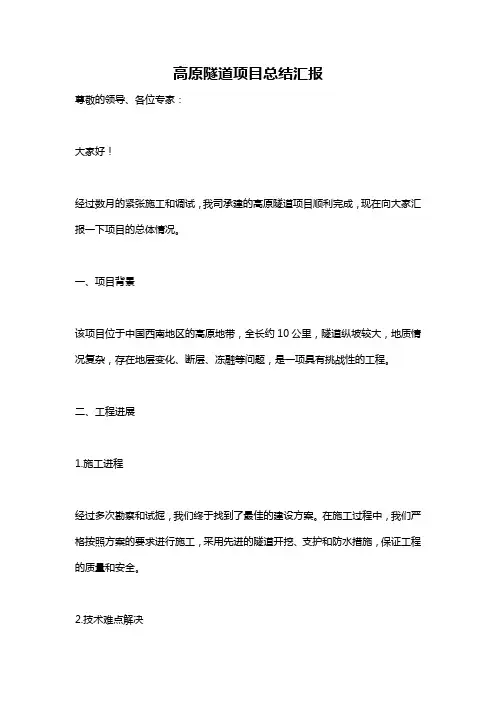 高原隧道项目总结汇报