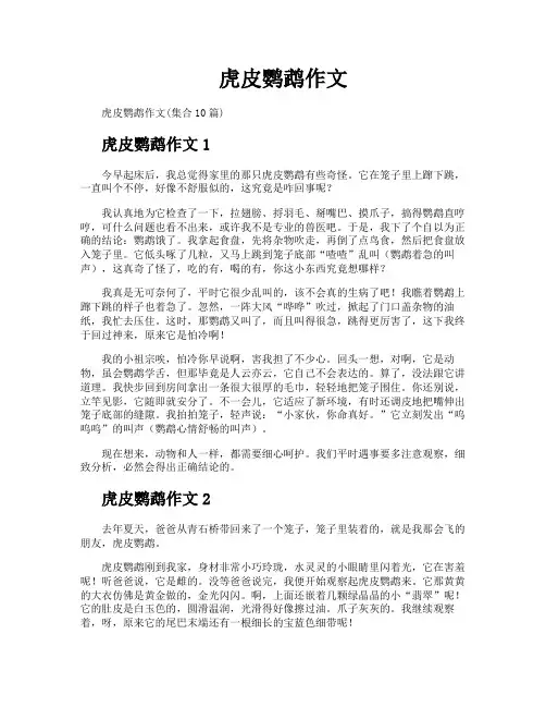 虎皮鹦鹉作文
