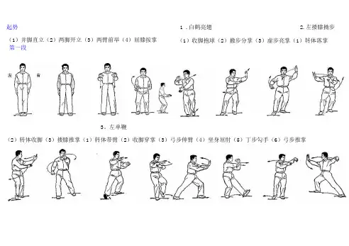四十八式太极拳镜像图解