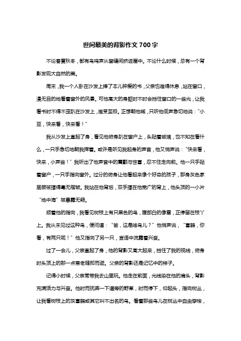 世间最美的背影作文700字