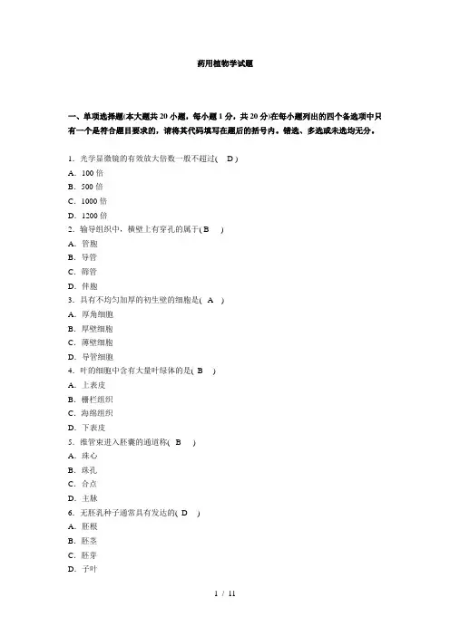 药用植物学试题及复习资料资料