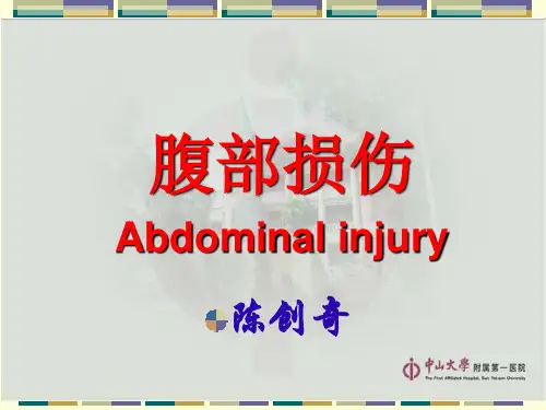 腹部损伤完整
