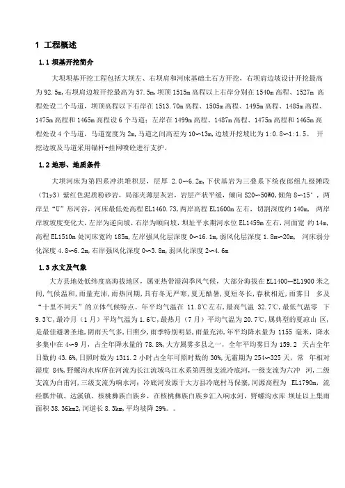 大坝坝基开挖与支护施工专项方案
