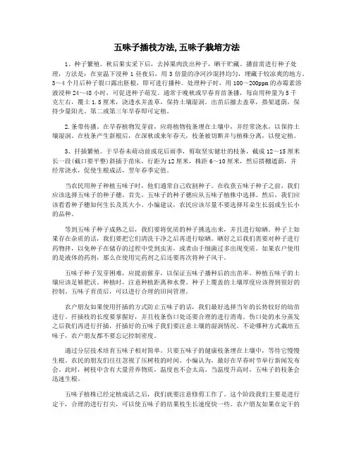五味子插枝方法,五味子栽培方法