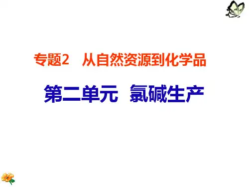 高二化学氯碱工业PPT课件