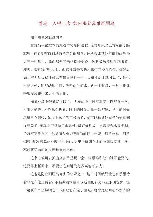 雏鸟一天喂三次-如何喂养窝雏画眉鸟