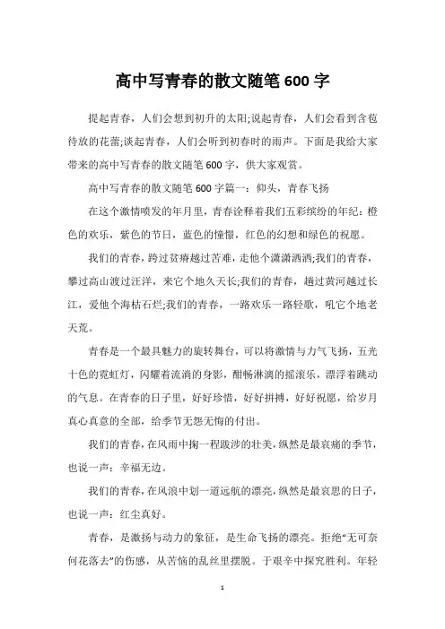 高中写青春的散文随笔600字