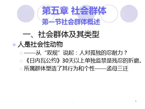 一、社会群体及其类型PPT课件