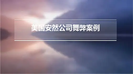 美国安然公司舞弊案例普通屏