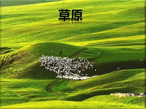 《草原》课件(共29张PPT)