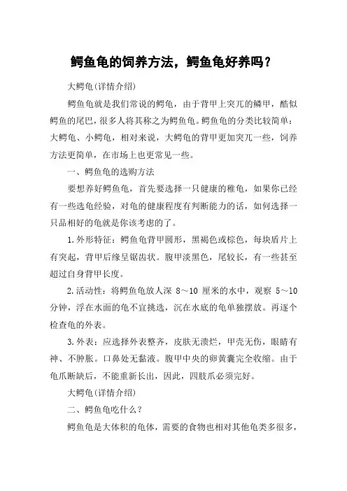 鳄鱼龟的饲养方法,鳄鱼龟好养吗？