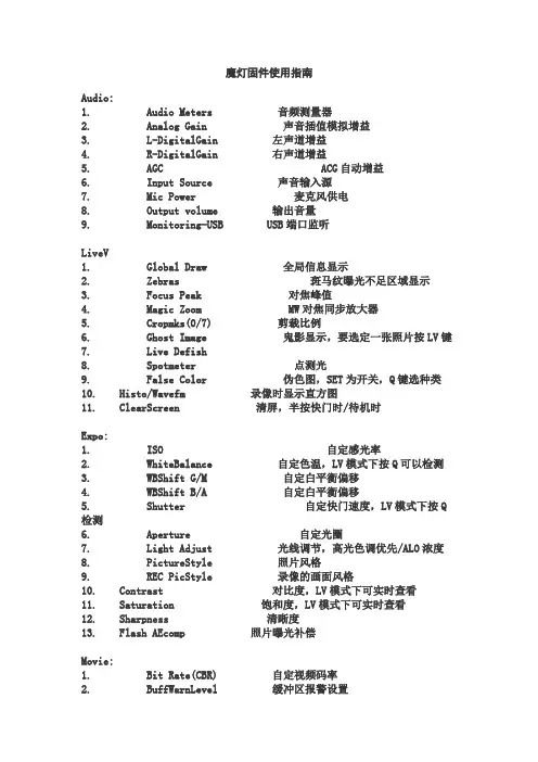 魔灯固件中英说明
