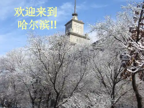 _哈尔滨介绍_PPT